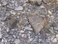 PXL_20210822_131333140.webm