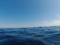 20220606-1601-000.webm