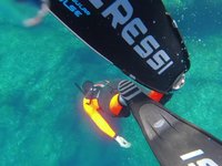 20220606-1620-000.webm