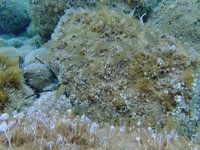 20220608-0955-000.webm