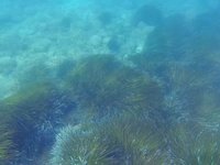 20220608-1035-000.webm