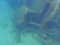 20220608-1109-000.webm