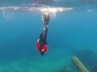 20220608-1143-000.webm