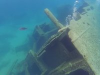 20220608-1145-000.webm