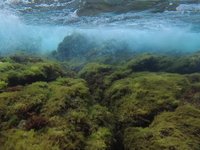 20220609-1543-000.webm