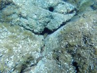 20220610-0957-000.webm