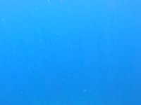 20230601-143824.webm