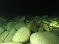 20230604-220824.webm