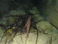 20230604-224210.webm