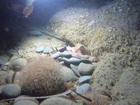 20230605-002712.webm