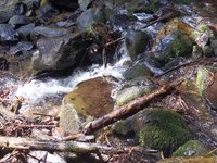 PXL_20230711_101135060.webm