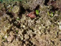 20230825_224924_267_1692998209333_video.s.webm