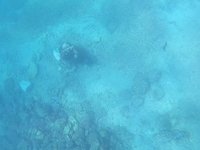 20230826_121017.webm