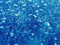 20230826_124248_308_1693049466819_slowmotion.s.webm