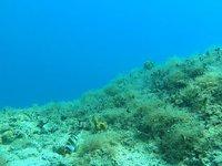 20230827_140651.webm