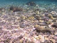 20230827_142045.webm