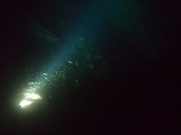 20230827_211625.webm