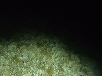 20230827_211958.webm