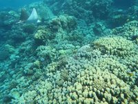 20240711_044913.webm