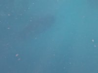 20240828_101055.webm