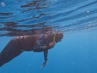 20240828_103832.webm